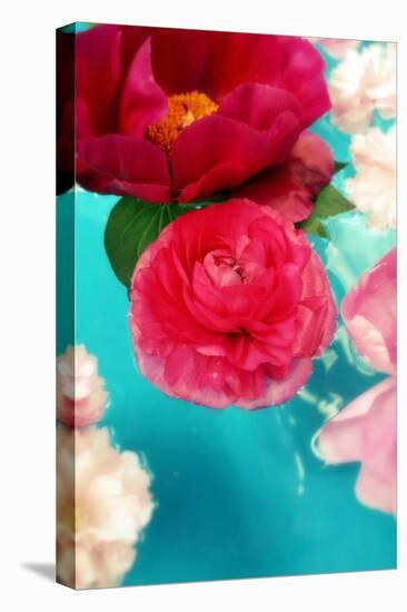 Peonies and Ranunculus Blossoms in Red and Rose, Swimming in Gloriously Blue Water-Alaya Gadeh-Premier Image Canvas