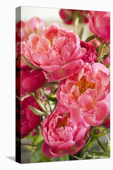 Peonies II-Karyn Millet-Premier Image Canvas