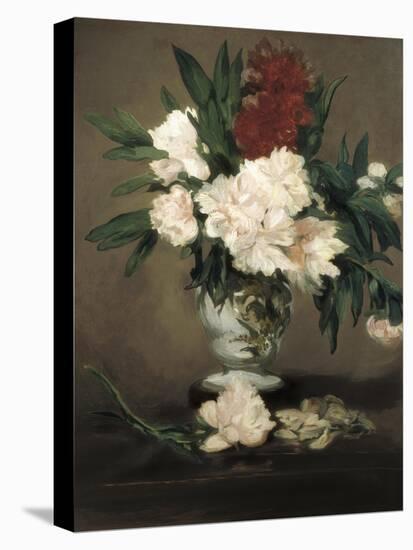 Peonies in a Vase-Edouard Manet-Stretched Canvas