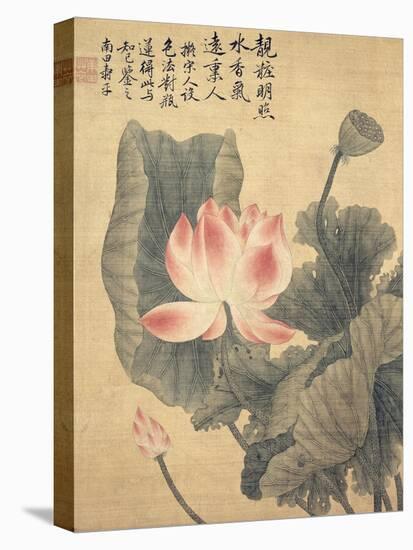 Peonies-Yun Shouping-Premier Image Canvas