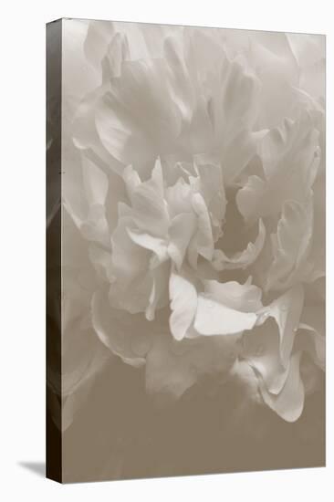 Peony_9-Pictufy Studio III-Premier Image Canvas