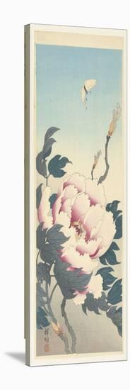 Peony and a Butterfly, 1925-36 (Colour Woodcut)-Ohara Koson-Premier Image Canvas