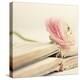 Peony Books Square-Sarah Gardner-Premier Image Canvas