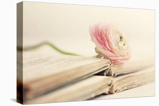 Peony Books-Sarah Gardner-Premier Image Canvas