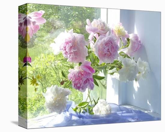 Peony Bouquet-Judy Stalus-Stretched Canvas