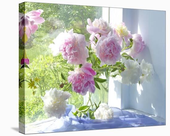 Peony Bouquet-Judy Stalus-Stretched Canvas
