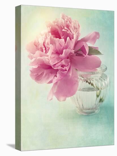 Peony Flower in a Vase-egal-Premier Image Canvas