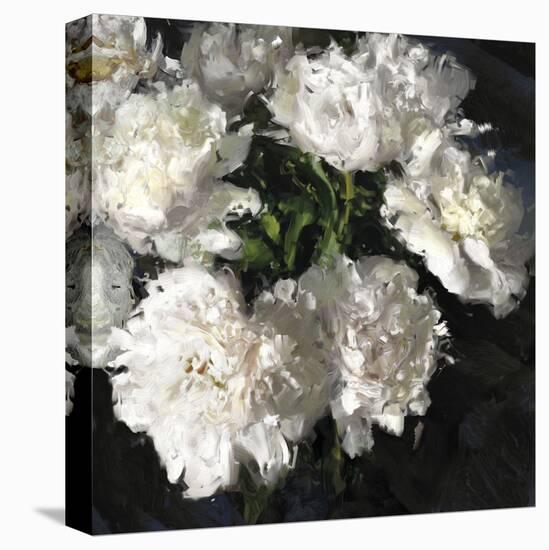 Peony Glow-Tania Bello-Stretched Canvas