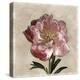 Peony I-Janel Pahl-Stretched Canvas