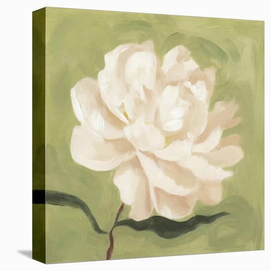 Peony on Olive I-Emma Scarvey-Stretched Canvas