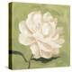 Peony on Olive I-Emma Scarvey-Stretched Canvas