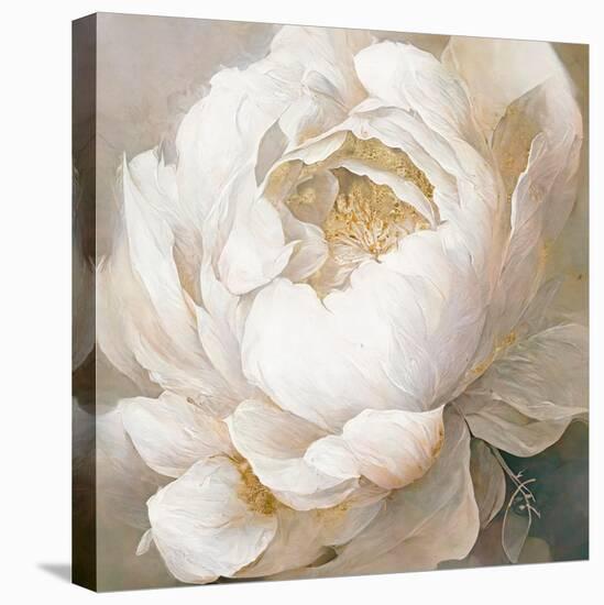 Peony Poses I-null-Premier Image Canvas