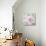 Peony Shimmer-Stefania Ferri-Stretched Canvas displayed on a wall