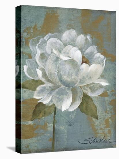 Peony Tile I-Silvia Vassileva-Stretched Canvas