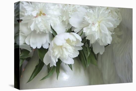 Peony-Anna Miller-Premier Image Canvas