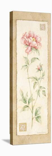 Peony-Pamela Gladding-Stretched Canvas