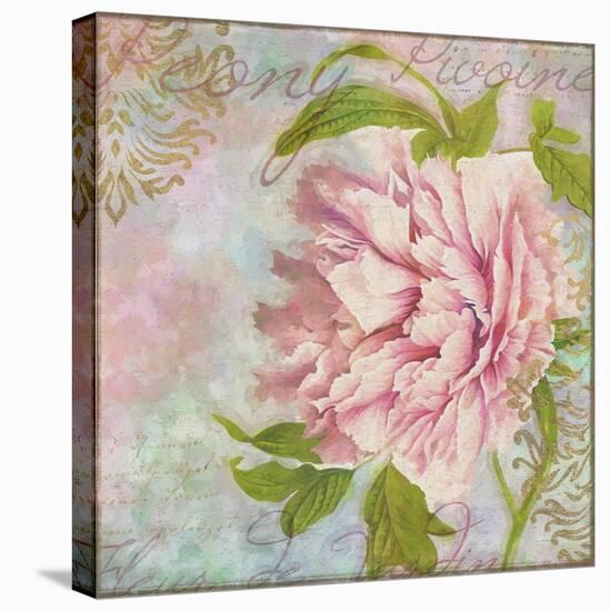 Peony-Cora Niele-Premier Image Canvas