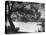 People Boat Riding in Prospect Park-Ed Clark-Premier Image Canvas