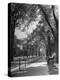 People Enjoying Sunny Day at Park on Ocean Parkway-Ed Clark-Premier Image Canvas