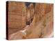 People on Trail, Bryce Canyon National Park, Utah, United States of America, North America-Jean Brooks-Premier Image Canvas