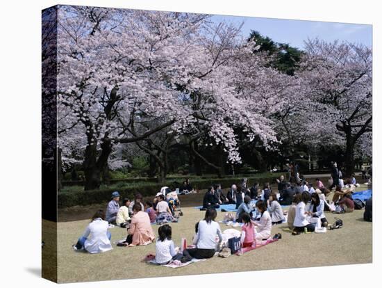 People Partying Under Cherry Blossoms, Shinjuku Park, Shinjuku, Tokyo, Honshu, Japan-null-Premier Image Canvas