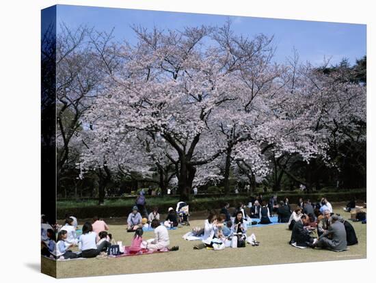 People Partying Under Cherry Blossoms, Shinjuku Park, Shinjuku, Tokyo, Honshu, Japan-null-Premier Image Canvas