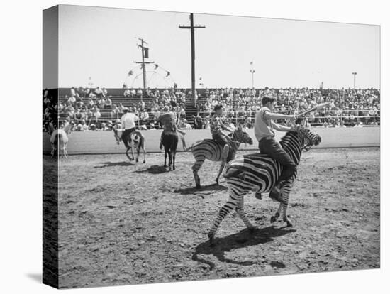 People Riding Zebras During the Ostrich Racing, Grange County Fair-Loomis Dean-Premier Image Canvas