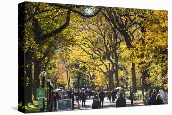People walking in a park, Central Park Mall, Central Park, Manhattan, New York City, New York St...-Panoramic Images-Premier Image Canvas