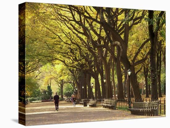 People Walking Through Central Park in Autumn, NYC-Walter Bibikow-Premier Image Canvas