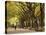 People Walking Through Central Park in Autumn, NYC-Walter Bibikow-Premier Image Canvas