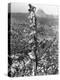 People Watching Mohandas K. Gandhi's Funeral from Tower-Margaret Bourke-White-Premier Image Canvas