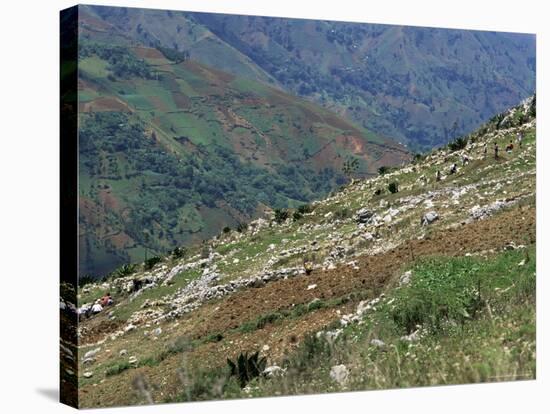 People Working in Steep Mountain Fields, at 2000M, Haiti, West Indies, Central America-Lousie Murray-Premier Image Canvas