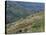 People Working in Steep Mountain Fields, at 2000M, Haiti, West Indies, Central America-Lousie Murray-Premier Image Canvas