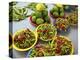 Peppers, Fruit and Vegetable Outdoor Market, Suva, Fiji-Miva Stock-Premier Image Canvas