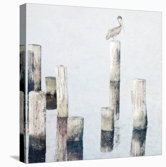 Perched Pelican-Bruce Nawrocke-Stretched Canvas