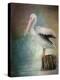 Perched Pelican-Jai Johnson-Premier Image Canvas