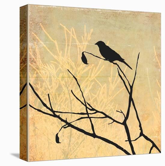 Perched-Andrew Michaels-Stretched Canvas