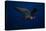 Peregrine Falcon Flying over a Lake-W^ Perry Conway-Premier Image Canvas