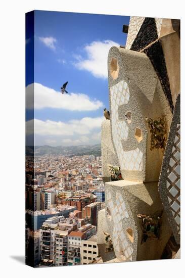 Peregrine falcon in flight with female perched on the Sagrada Familia-Oriol Alamany-Premier Image Canvas