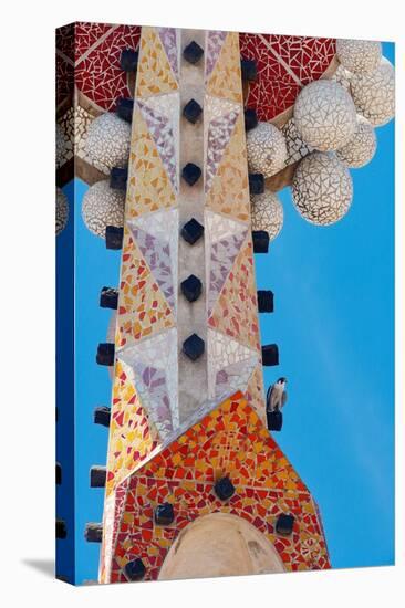 Peregrine falcon perched on mosaic tower at Sagarada Familia-Oriol Alamany-Premier Image Canvas