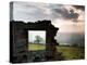 Perfectly Framed-Craig Roberts-Premier Image Canvas