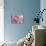 Perfectly Pink IV-Monika Burkhart-Stretched Canvas displayed on a wall