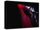 Performer on Stage at Microphone-Phil Sharp-Premier Image Canvas