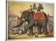 Performing Elephant-Vintage Reproduction-Stretched Canvas