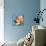 Periwinkle-Tina Lavoie-Premier Image Canvas displayed on a wall