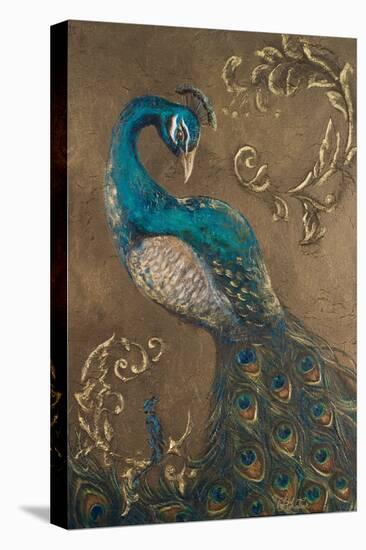 Pershing Peacock I-Tiffany Hakimipour-Stretched Canvas