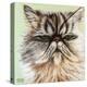 Persian Cat I-Carolee Vitaletti-Stretched Canvas