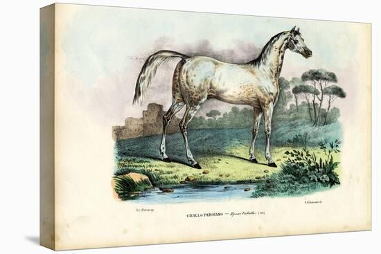 Persian Horse, 1863-79-Raimundo Petraroja-Premier Image Canvas