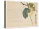 Persimmon, C.1854-59-Shunsei-Premier Image Canvas