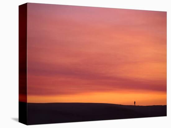 Person Watching the Sunset from Sand Dune on Coast, Oregon Dunes National Recreation Area, Oregon-Steve Terrill-Premier Image Canvas